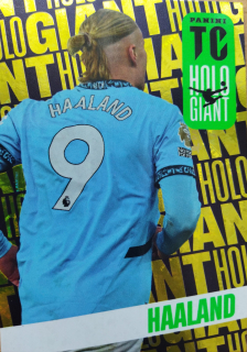 Erling Haaland