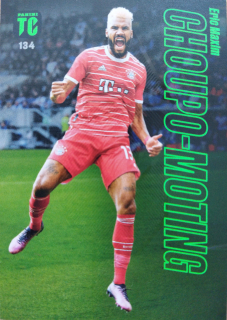 Eric Maxim Choupo-Moting