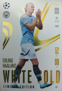 Erling Haaland