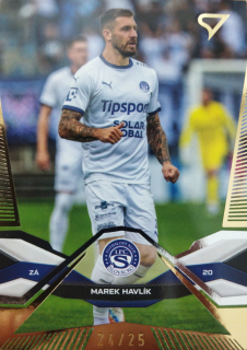 Marek Havlík