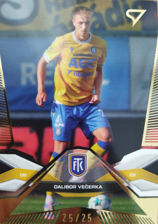 Dalibor Večerka