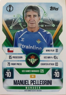 Manuel Pellegrini