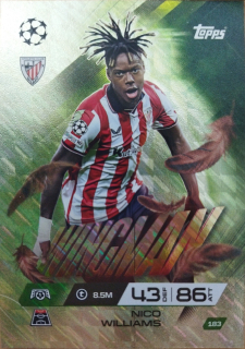 Nico Williams