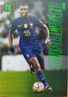 Dayot Upamecano