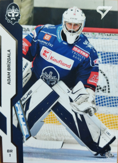 Adam Brízgala