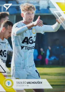 Tadeáš Vachoušek