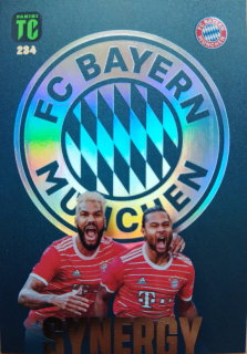 Eric Maxim Choupo-Moting, Serge Gnabry