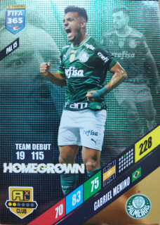 Gabriel Menino